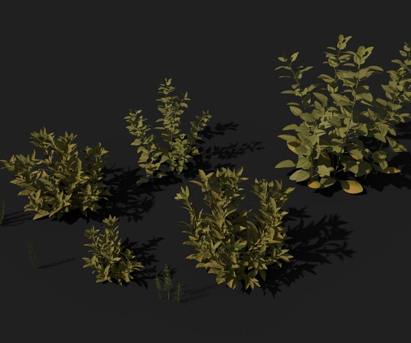 ArtStation - Common Bushes | Game Assets