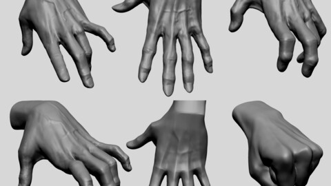 Hand Models
