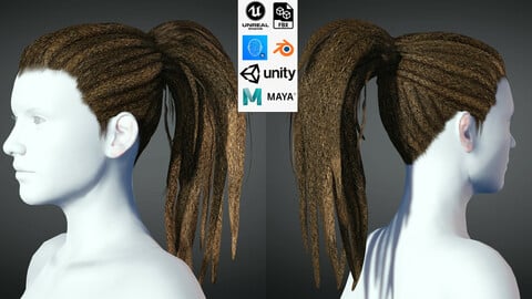 Dreads Hair Rasta low poly