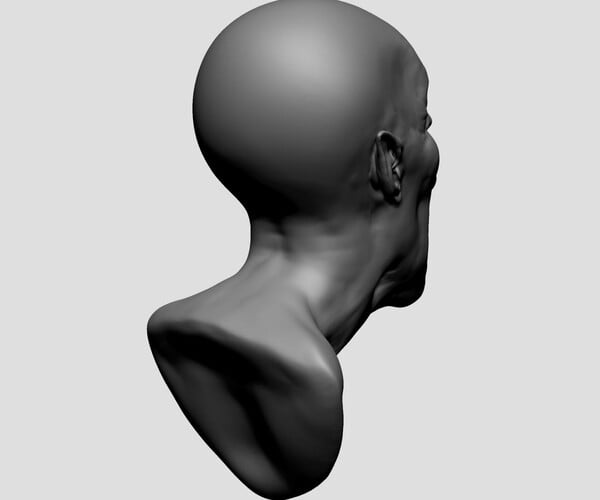 ArtStation - Creature Head B | Resources