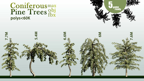 5 Coniferous Pine Trees-S