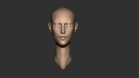 Female head Basemesh