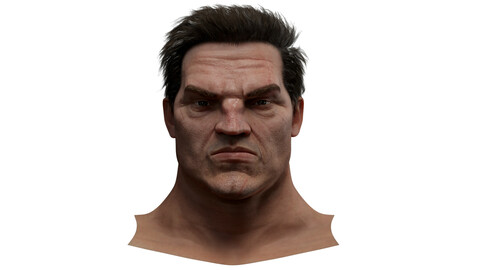 Steven Realistic model of male head