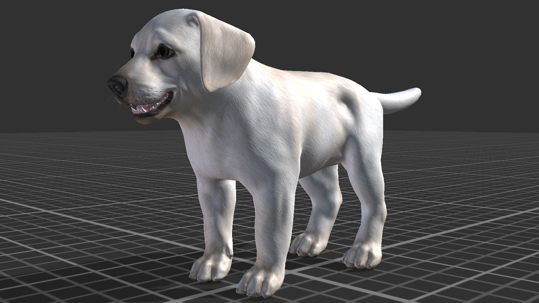 ArtStation - Puppy - Labrador | Game Assets