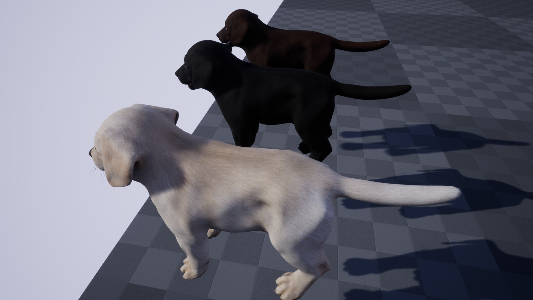 ArtStation - Puppy - Labrador | Game Assets