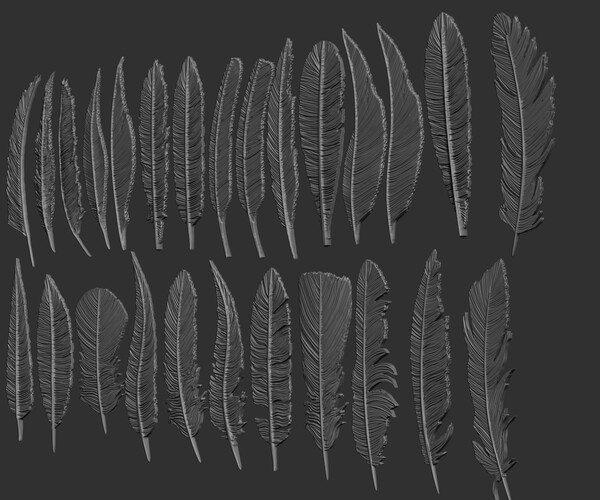 ArtStation - 26 Feathers 3d model ZTL,OBJ,STL,FBX | Resources