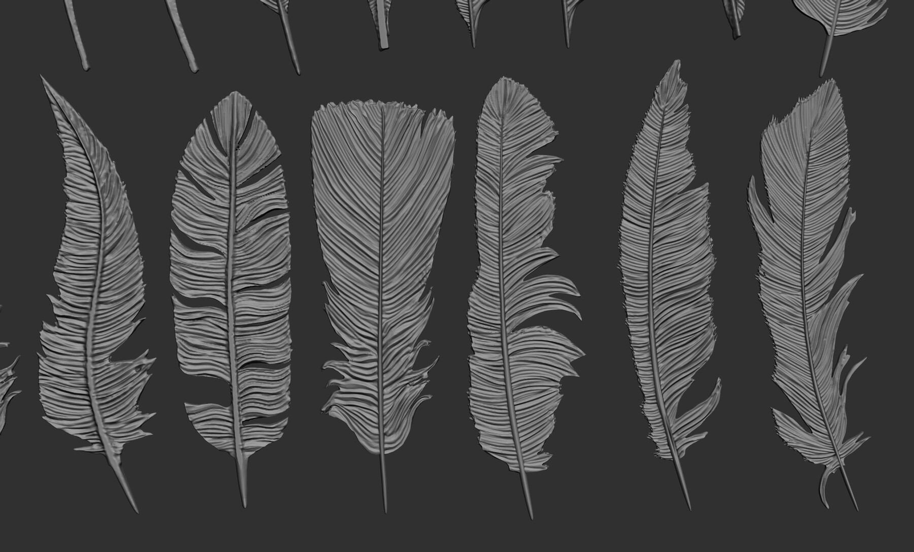 ArtStation - 26 Feathers 3d model ZTL,OBJ,STL,FBX | Resources