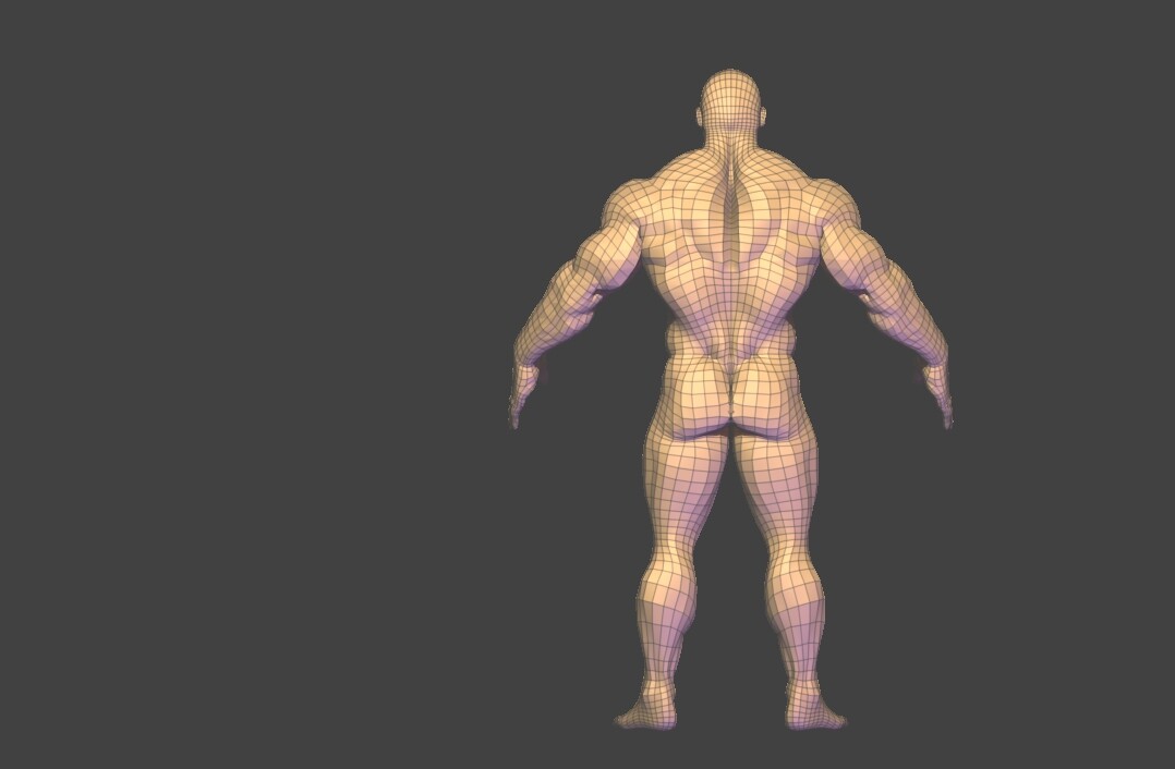 bodybuilder base mesh