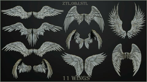 11 Wings 3D model ZTL,OBJ,STL