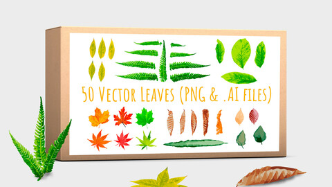 50 Vector Leaves Stock Photos Pack
