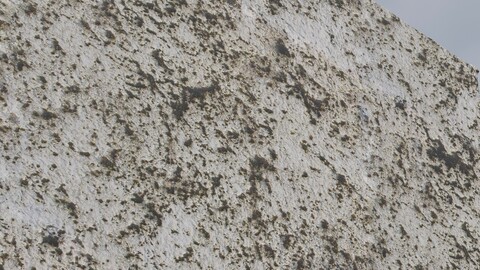 Dirty White Wall 1 PBR Material