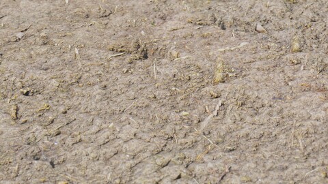 Mud Ground 2 PBR Material