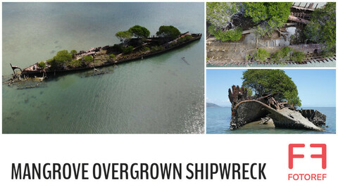 107 photos of Mangrove Overgrown Shipwreck