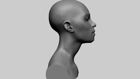Female Head Form