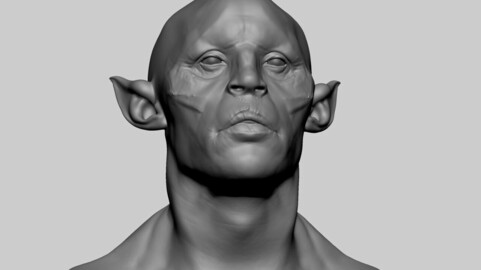 ArtStation - Fantasy Creature Head 11 | Resources