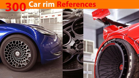 300Car rim References