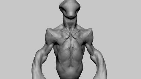 Creature Torso