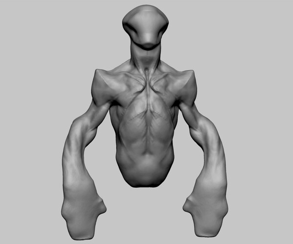 ArtStation - Creature Torso | Resources