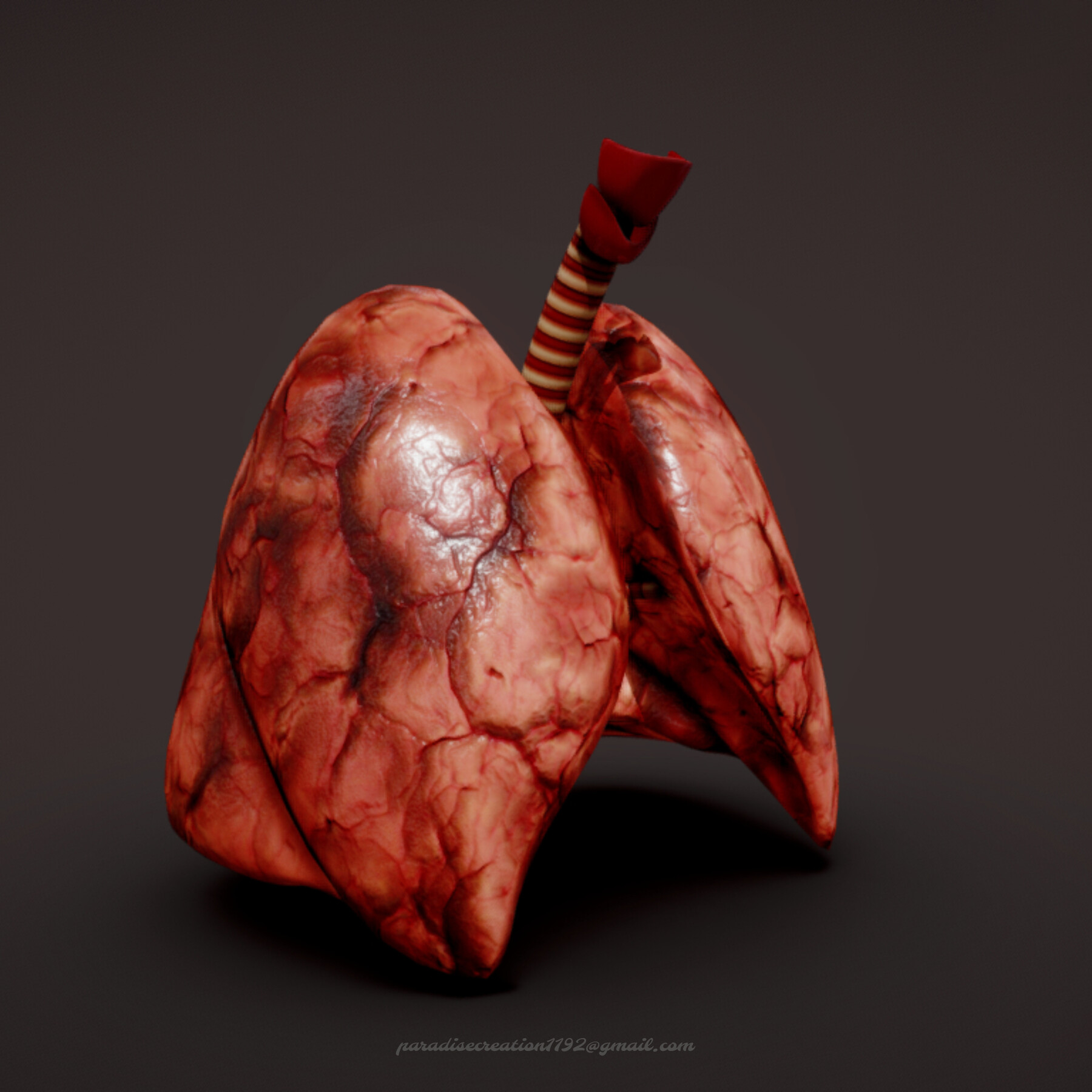 ArtStation - Human Lungs | Game Assets