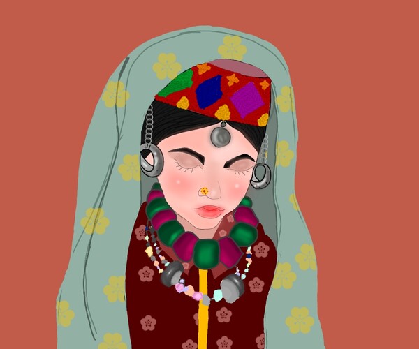 Pin by ubbsi on Kashmir | Traditional dresses, Jammu and kashmir, Kashmir