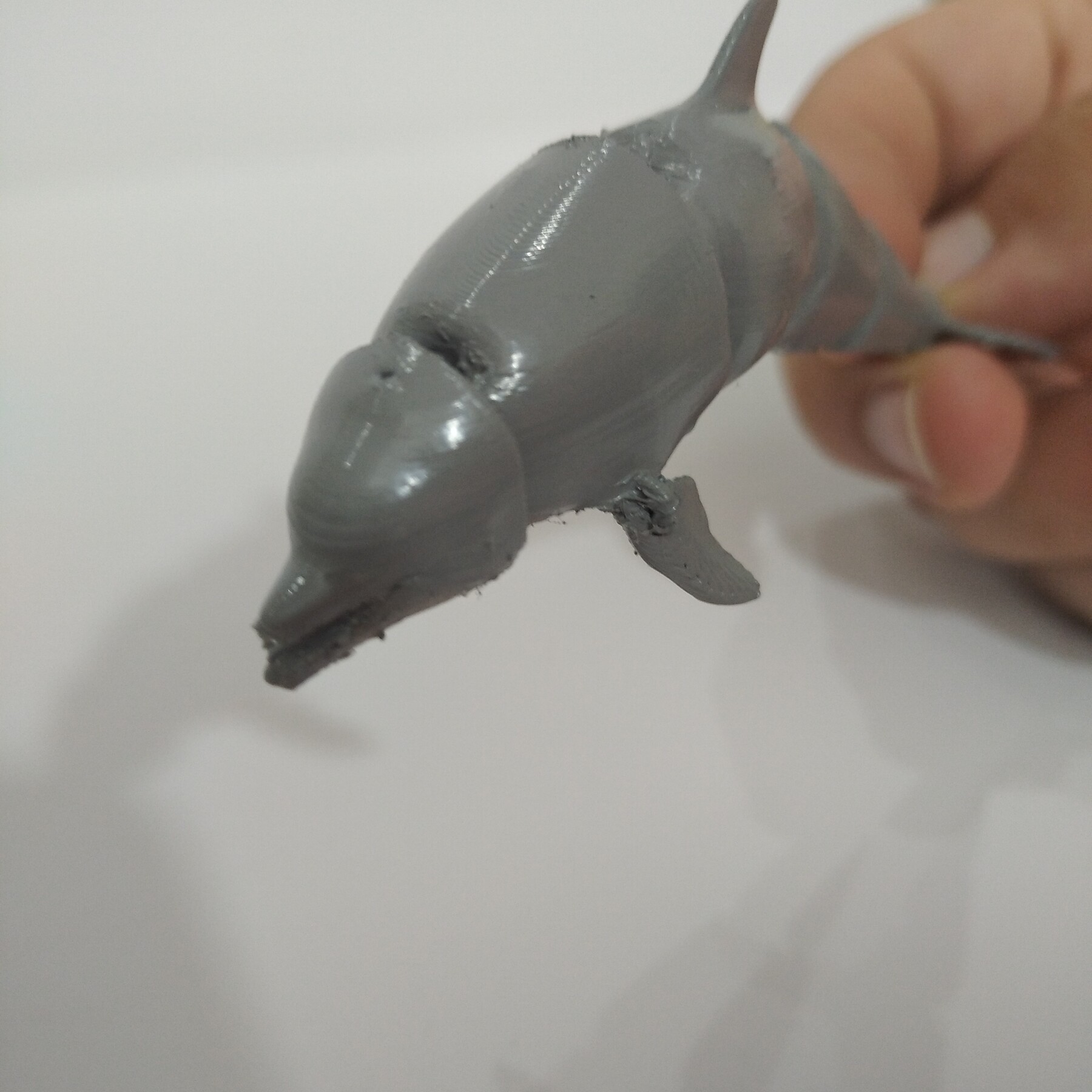 その他 Artbeats Dolphins その他 Artbeats Dolphins Dolphin with Headphones – Andrew Wendel