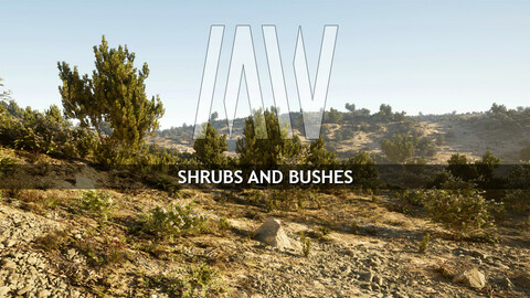 MW SHRUBS AND BUSHES