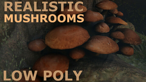 Mushrooms 3D Asset