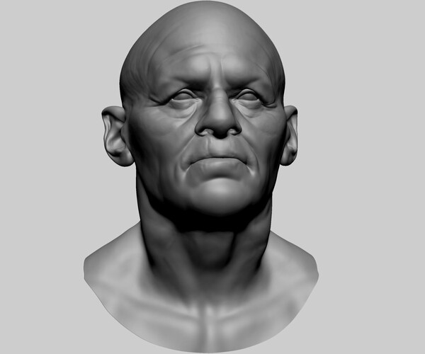 ArtStation - Male Head D | Resources