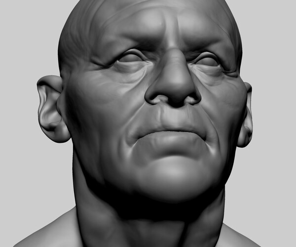 ArtStation - Male Head D | Resources