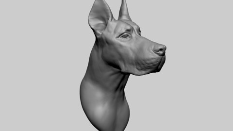 ArtStation - Dog Bust | Resources