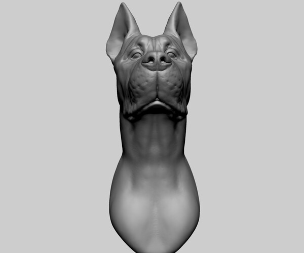 ArtStation Dog Bust Resources