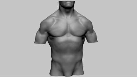 Male Torso A