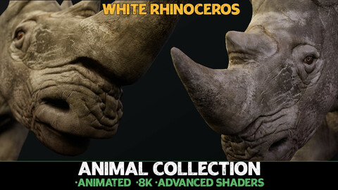White Rhinoceros - Animal Collection [UE4] [UE5]