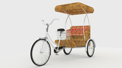 Bike Rickshaw 2 v2