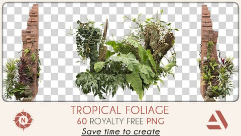 PNG Photo Pack: Tropical Foliage