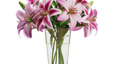 3D Model / Flower Set 12 / Pink Lilies Bouquet