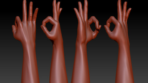 Beauty OK gesture model download  womens hand posture hand model download hand 3D map  womens han