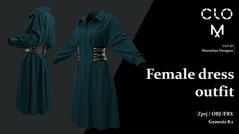 Female dress  / Marvelous Designer/Clo3D project file + OBJ