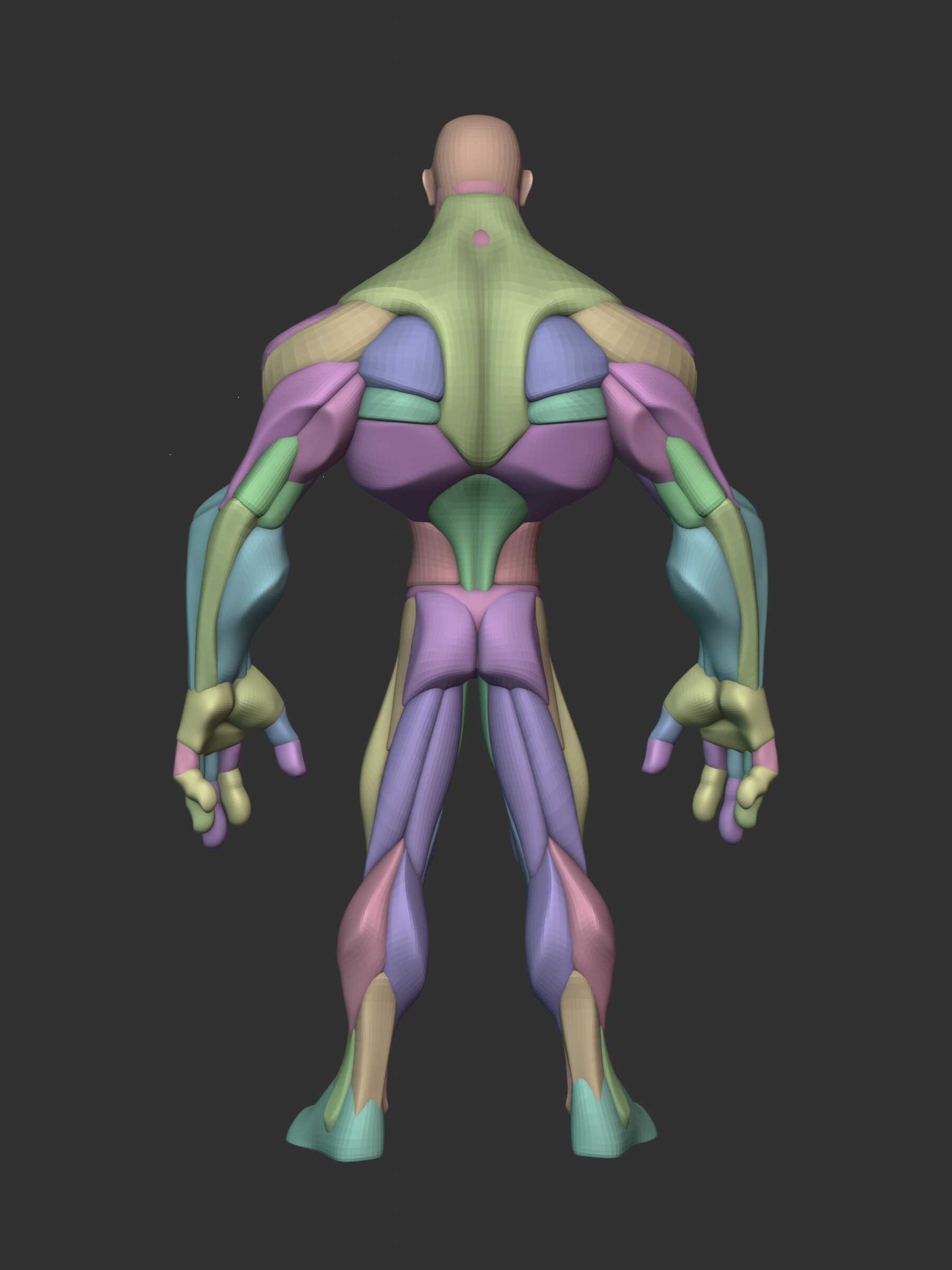 ArtStation - Stylized Hero Anatomy V3 | Resources