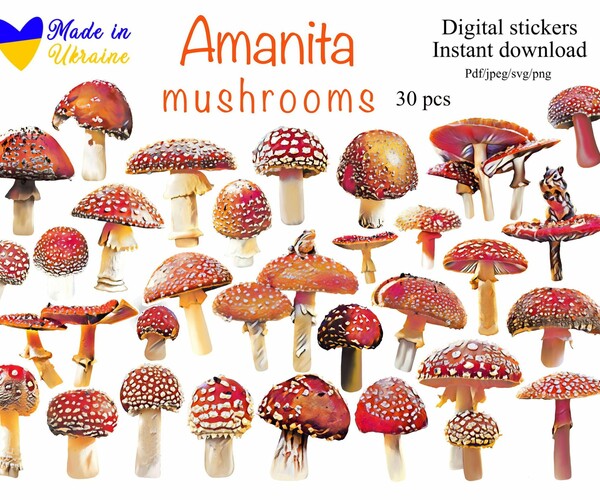 ArtStation - Amanita Mushrooms 30 pcs | Artworks