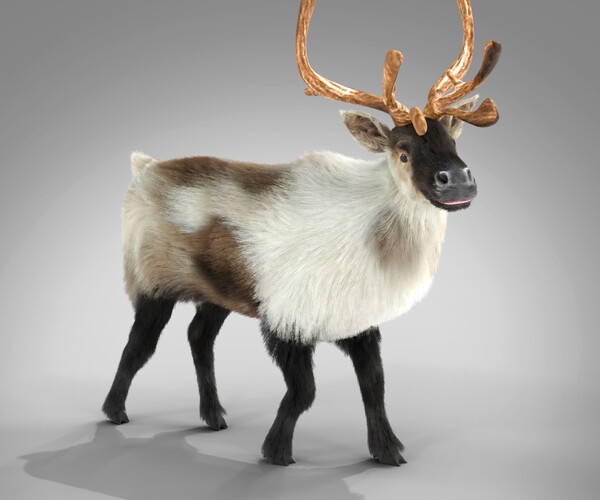 ArtStation - Fur Reindeer Rigged Blender | Game Assets