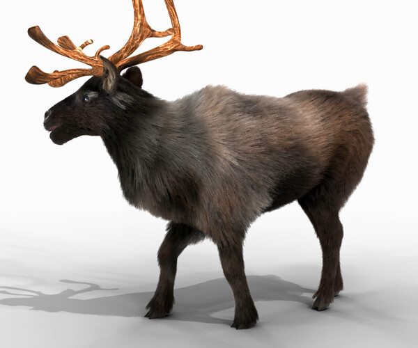 ArtStation - Fur Black Reindeer Rigged Blender | Game Assets