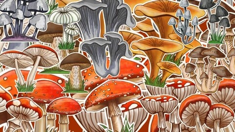 Colored Mushrooms 14 psc