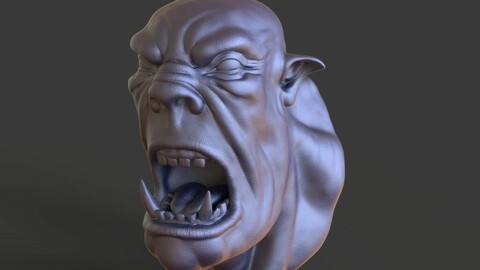 Head-F12_high poly sculpt