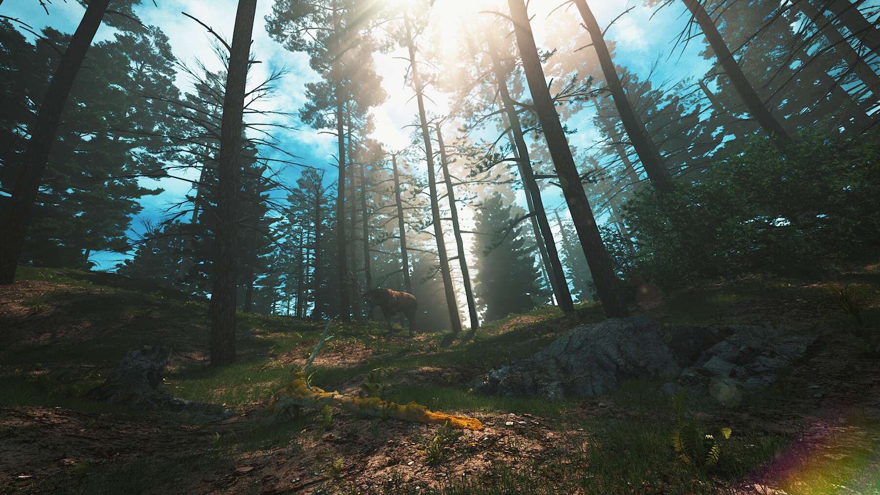 ArtStation - C4D Octane render Forest early morning tropical rainforest ...