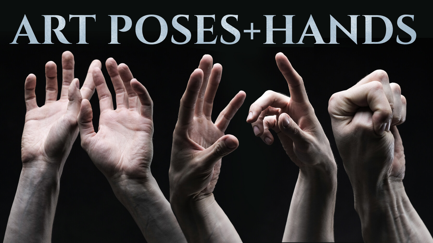 A collection of anatomy and pose references for artists. | Hand pose,  Drawing reference poses, Poses