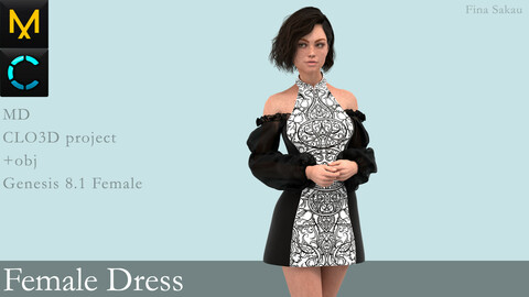 Female Dress #8. Marvelous Designer / Clo 3D project +obj