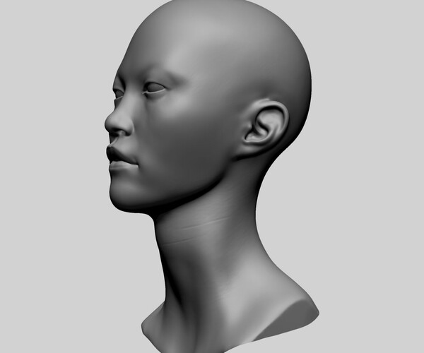 ArtStation - Asian Female Head A | Resources