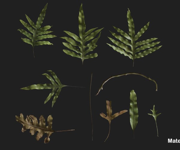 ArtStation - Monarch Fern | Game Assets