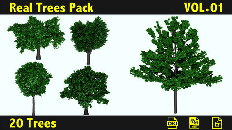 Pack of 3D Trees vol.01
